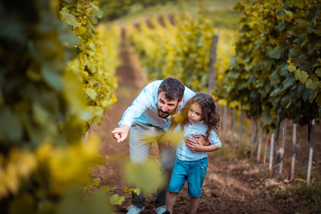 Family Friendly Vineyard Tour