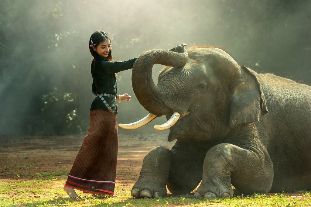 Young woman greets an an elephant in the Thai countryside
