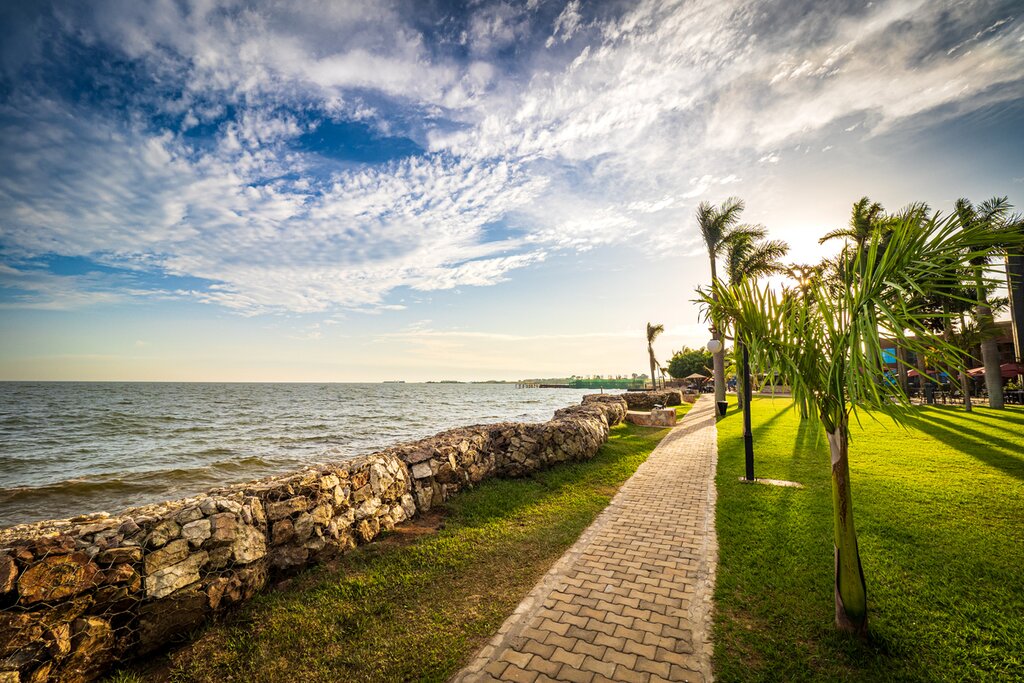 Sun setting behind tropical palm trees, drawing warm shadows on the meadow next to the shoreline of Lake Victoria.