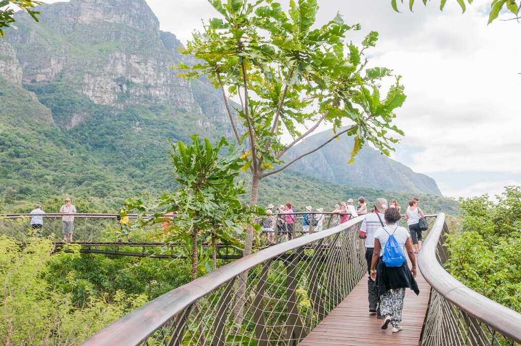 Kirstenbosch walkway