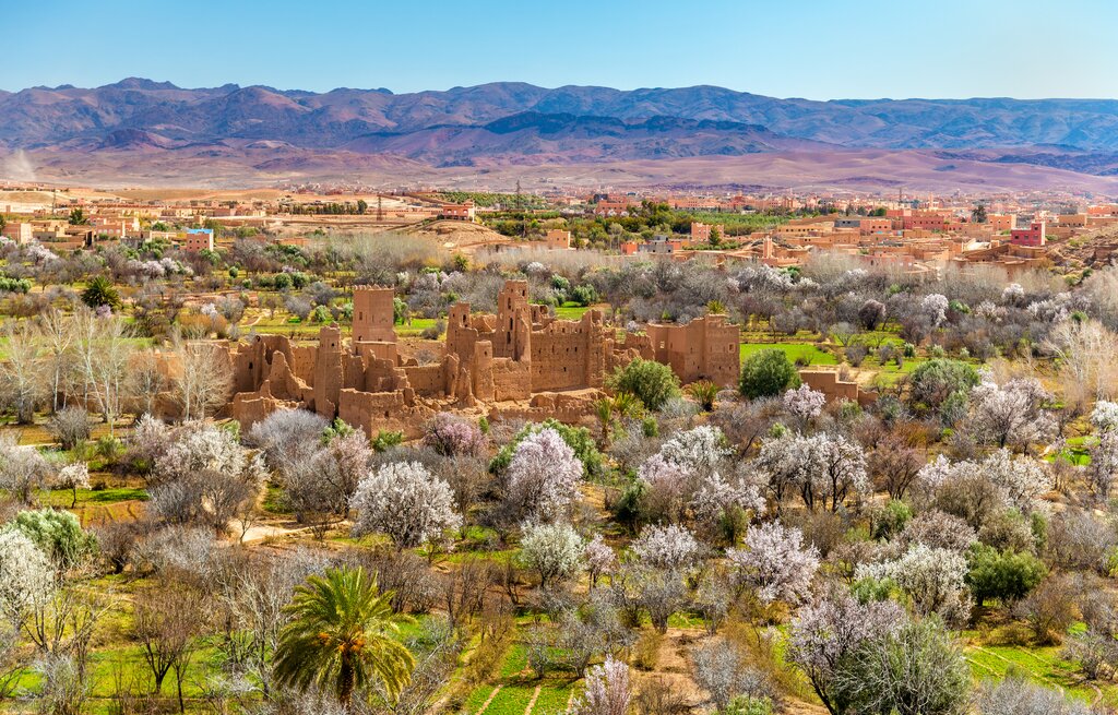 Ruins of a kasbah in the Valley of Roses