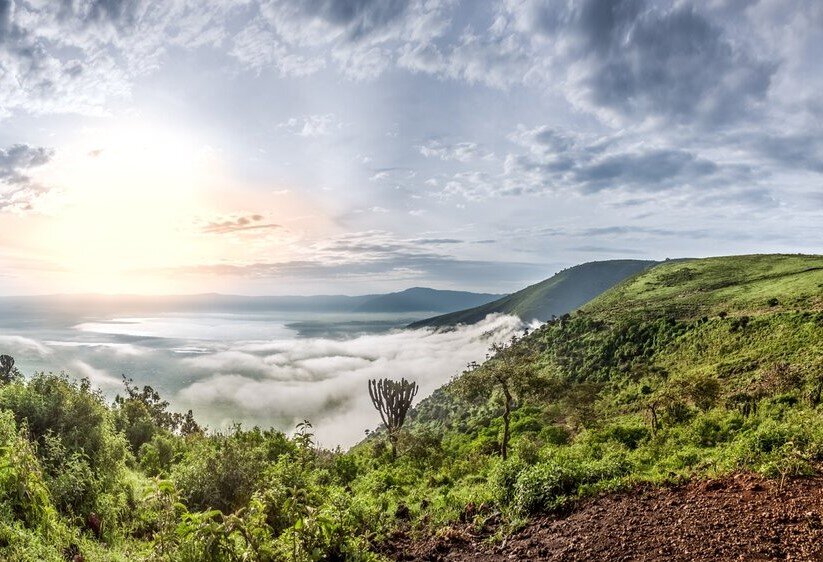 The Ngorongoro crater is a biodiversity hotspot