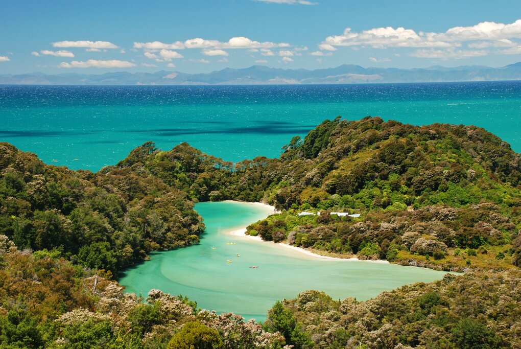 Aerial view of a cove surrounded by trees in Abel Tasman National Park with the sea visible beyond