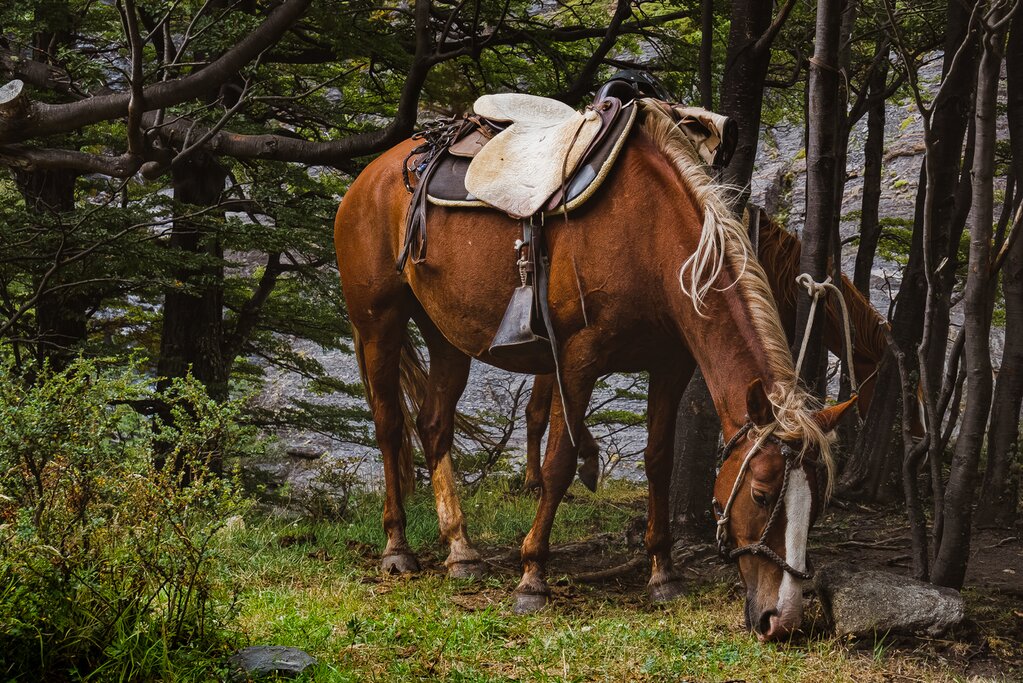 Horseback Riding at Laguna Sofia