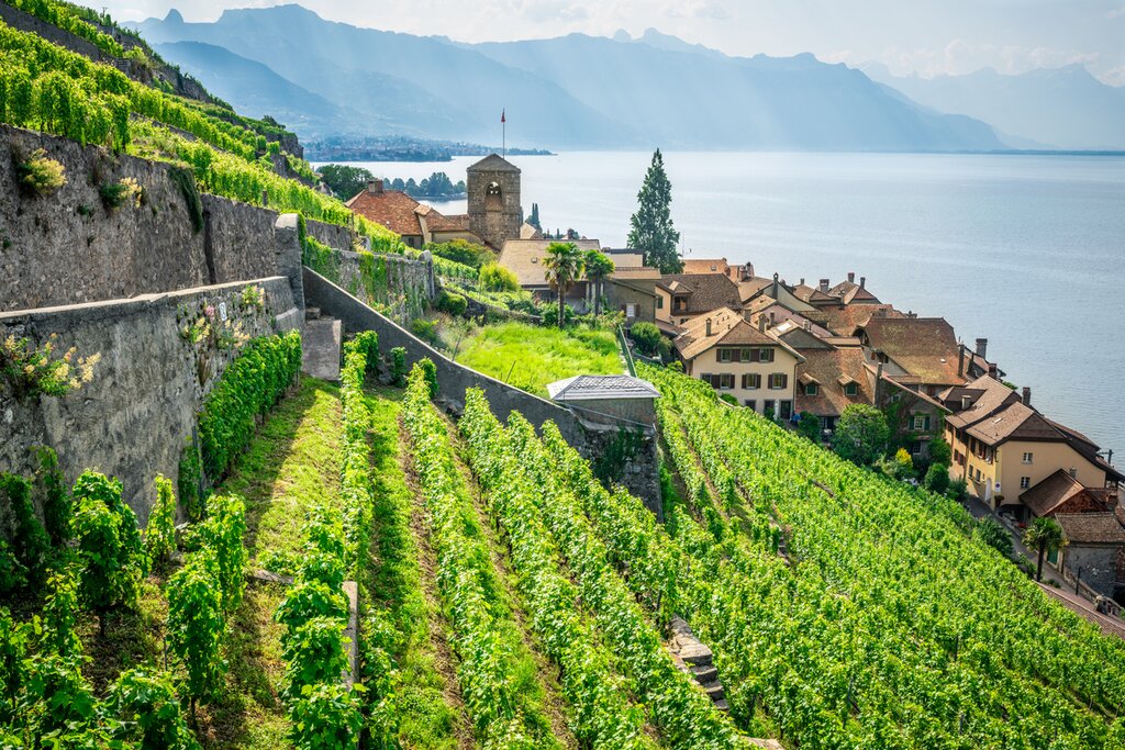 Welcome to Montreux Riviera