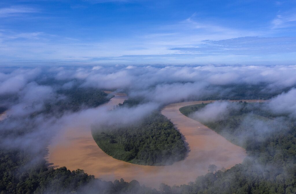 The Kinabatangan River from above