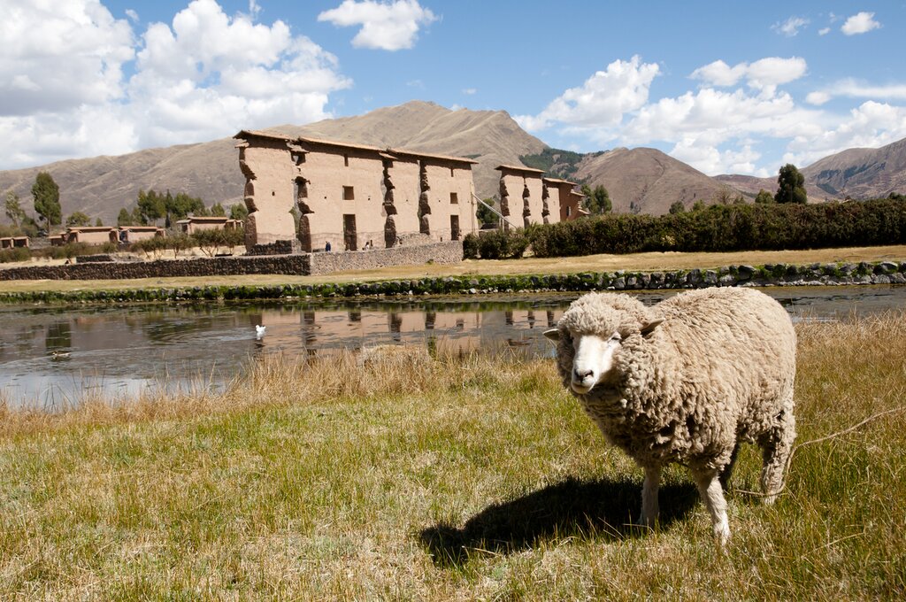 Scenery on the train ride between Cusco and Puno