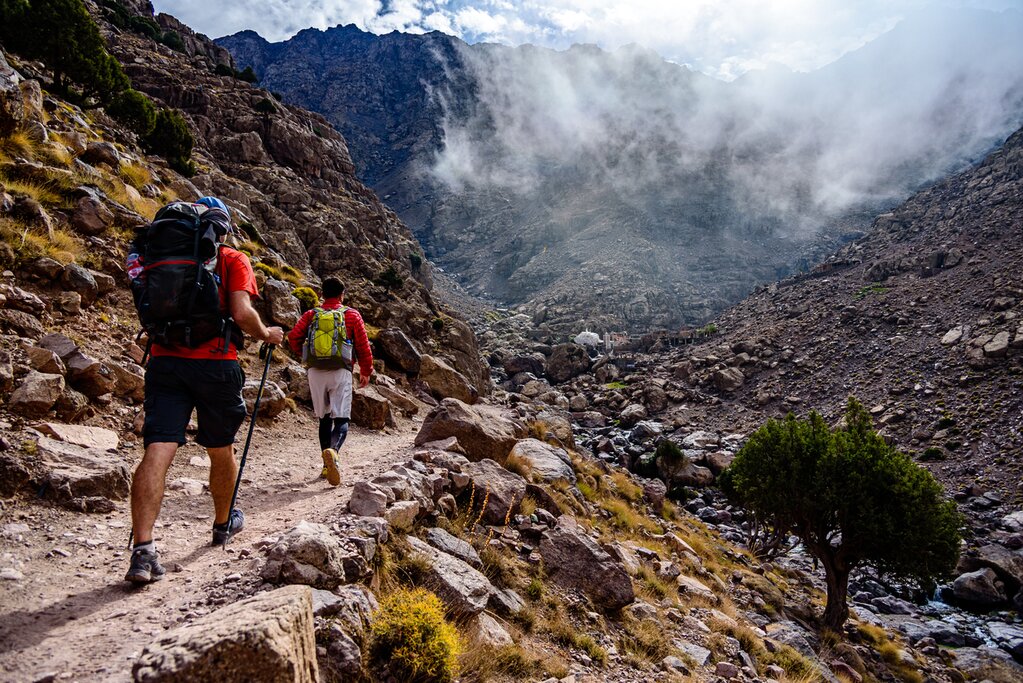 Hiking with mules