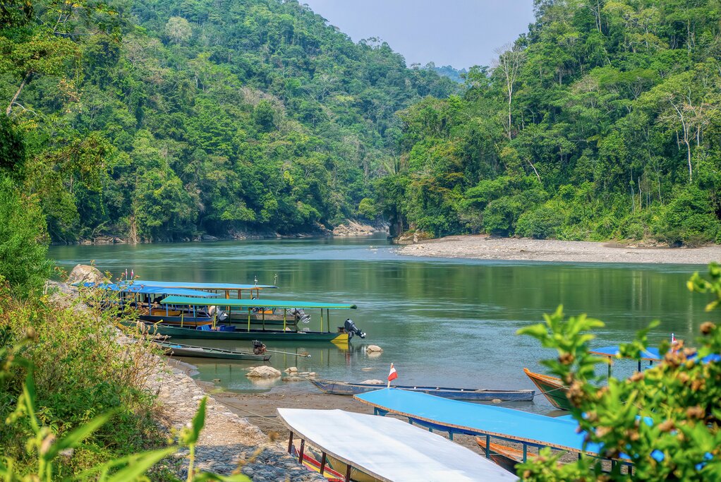 Tambopata National Reserve