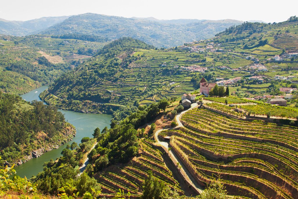 The lush green hills of the Douro Valley