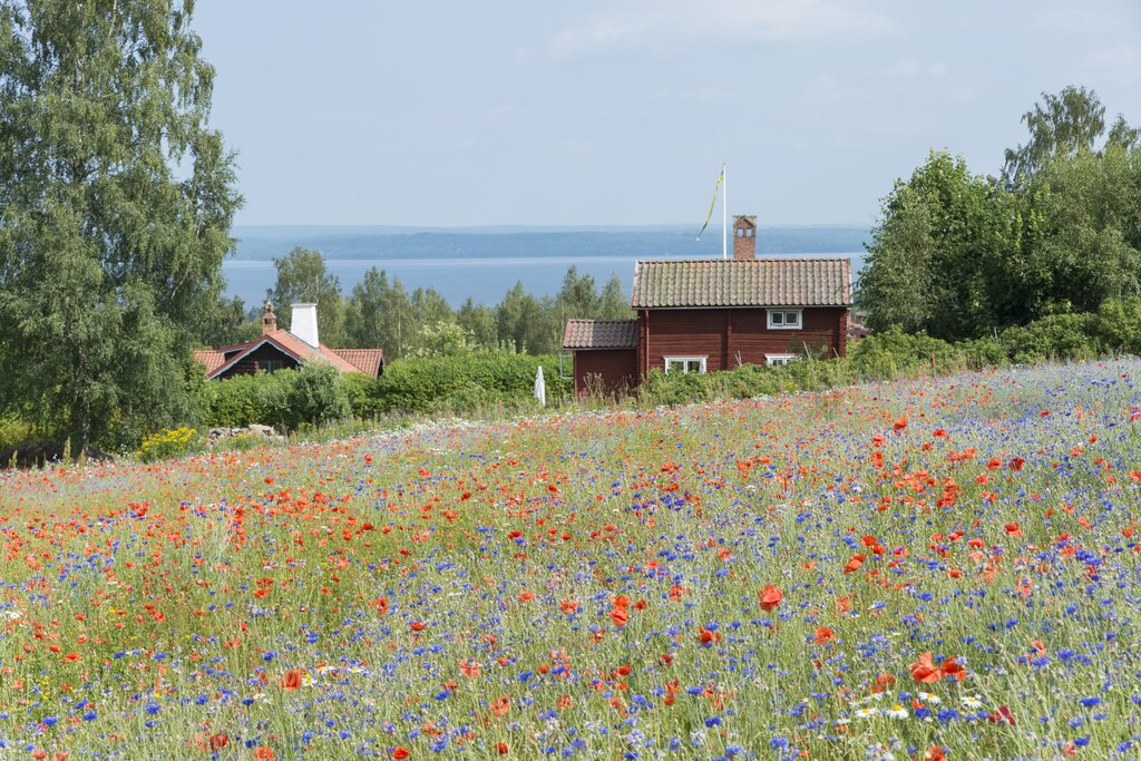 Uppsala County