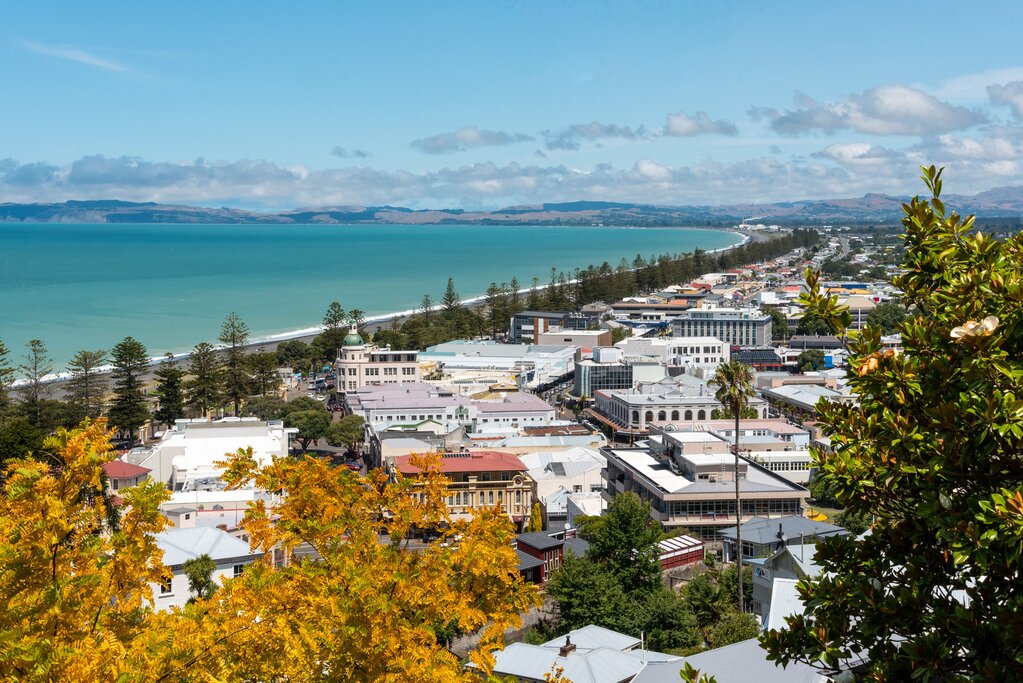 Napier city view