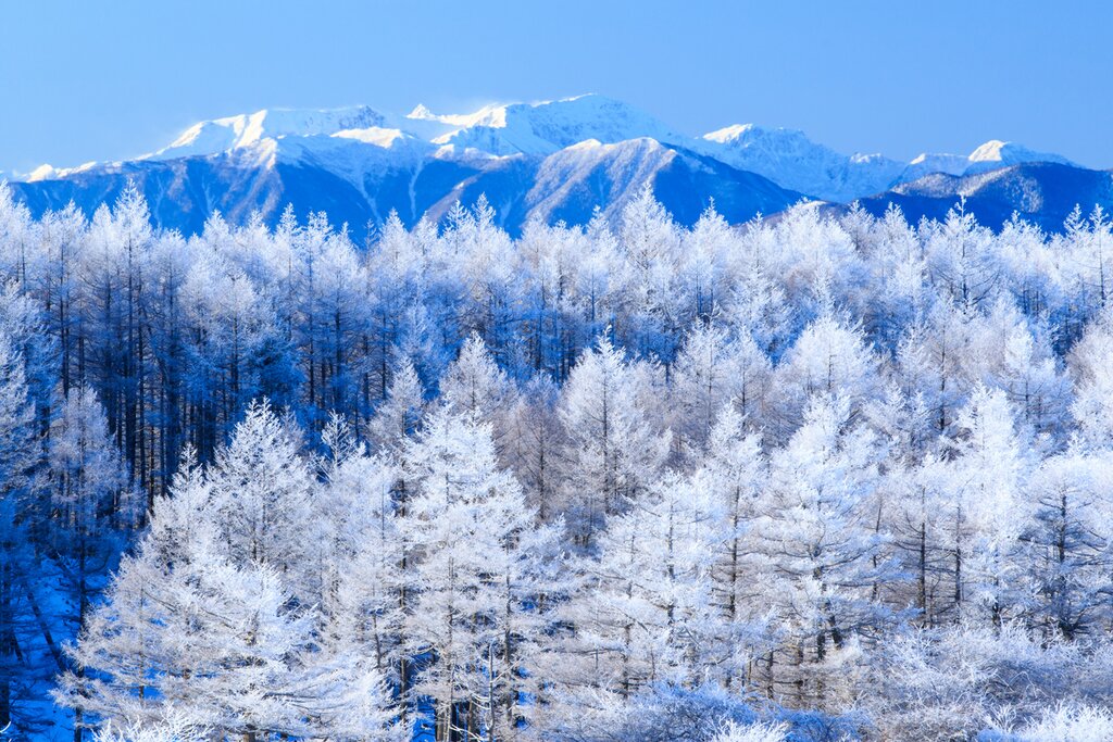 Explore several areas of the Japanese Alps in less than a week