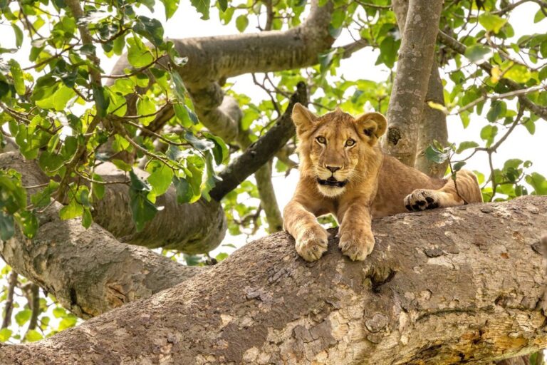 3 Weeks in East Africa - 5 Unique Itinerary Ideas