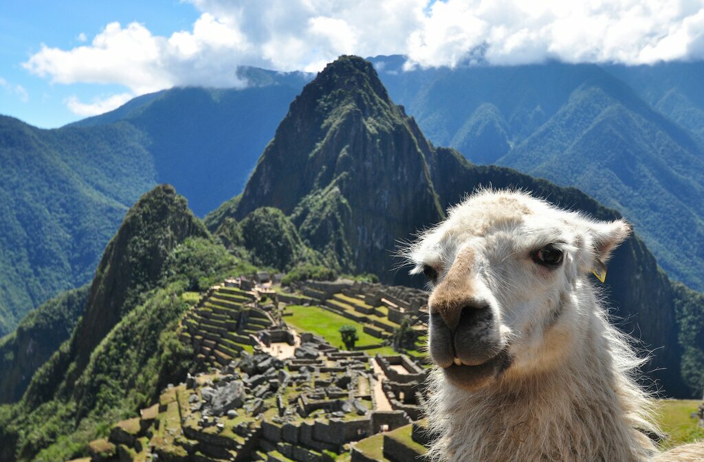 Machu Picchu and a Llama