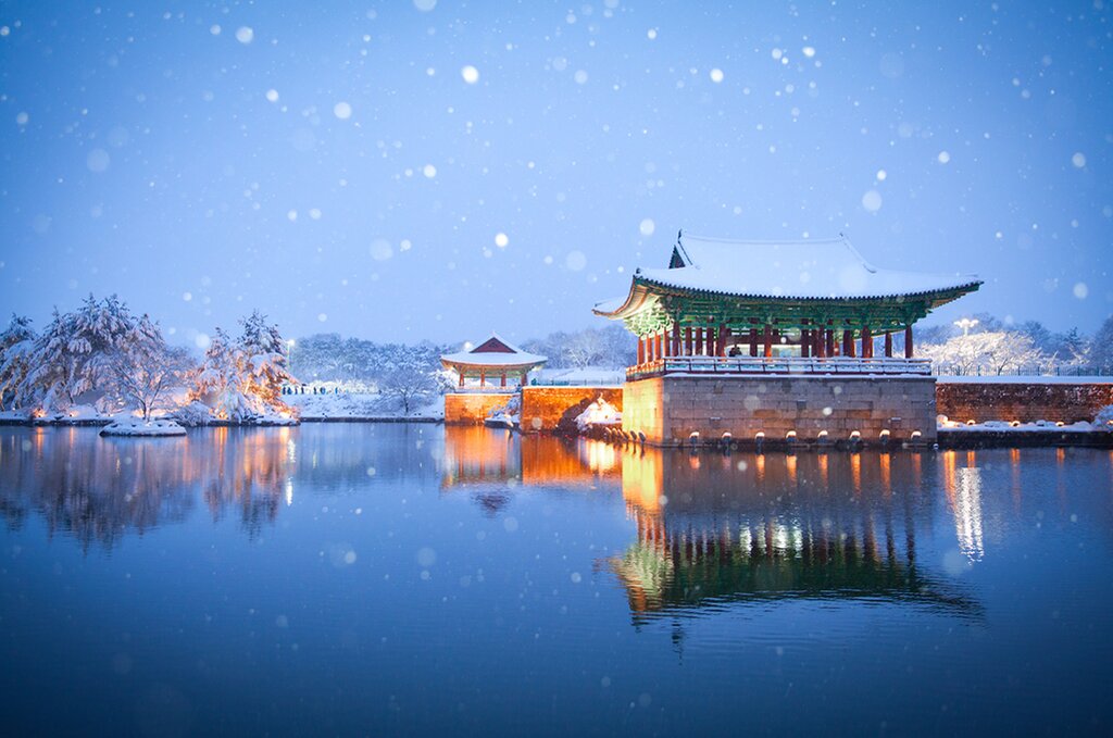 Full Day Bulguksa, Seokguram Grotto and National Museum Tour