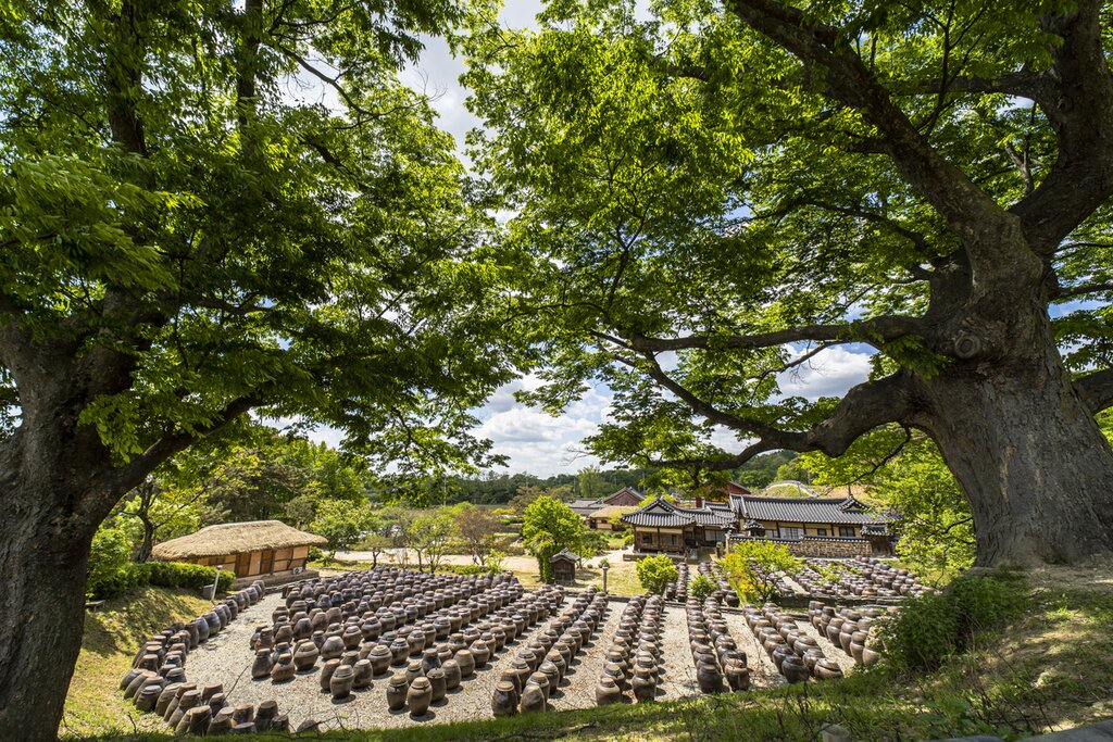 Discover the Secrets Behind Andong Soju with Specialty Food Jjimdak