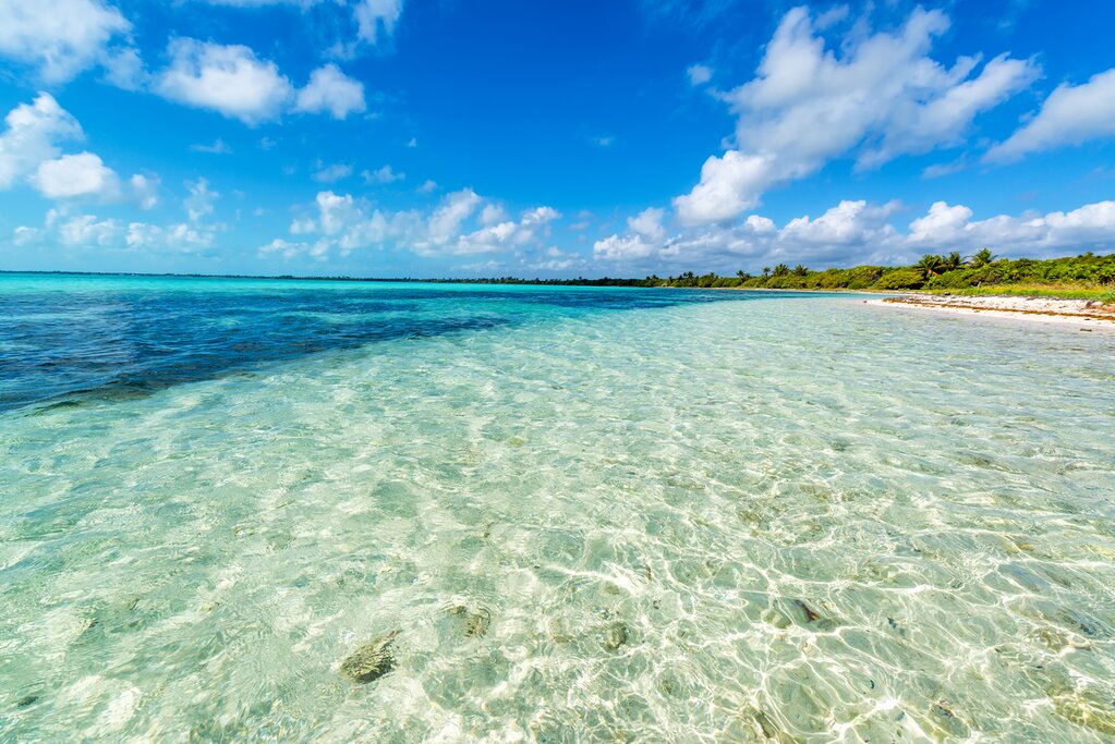 Experience the nature and beauty of the Yucatán, below and above water