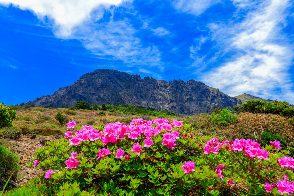 Catch some great views of Hallasan mountain on a trekking adventure