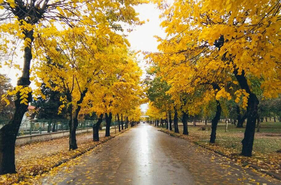 original-87d4d59096156f96769e056813648fad