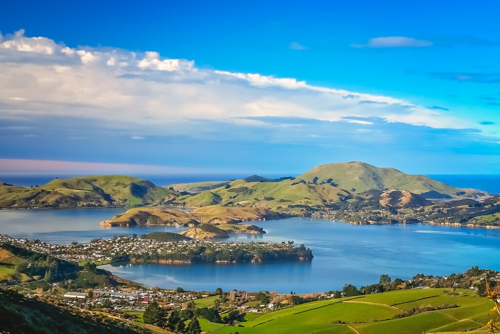 View of Dunedin from the hills above the tow