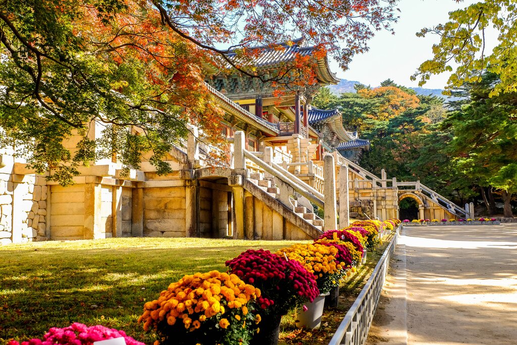 Full Day Bulguksa, Seokguram Grotto, and National Museum Tour