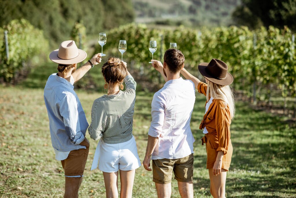 Walk through the vines and taste different varietals
