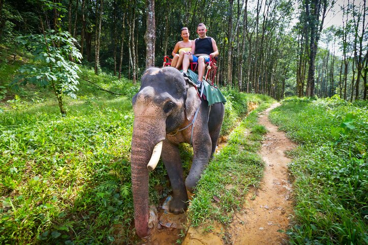 Half Day Tour: Elephant Riding (1 Hour Ride) + Bathing with the Elephants at Elephant Sanctuary in Krabi