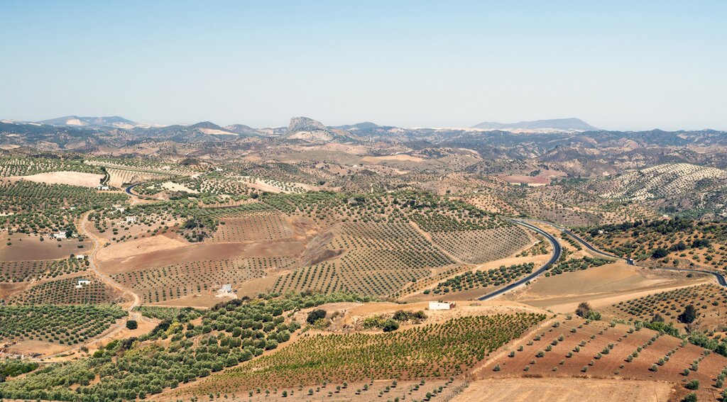 Rural Andalusia