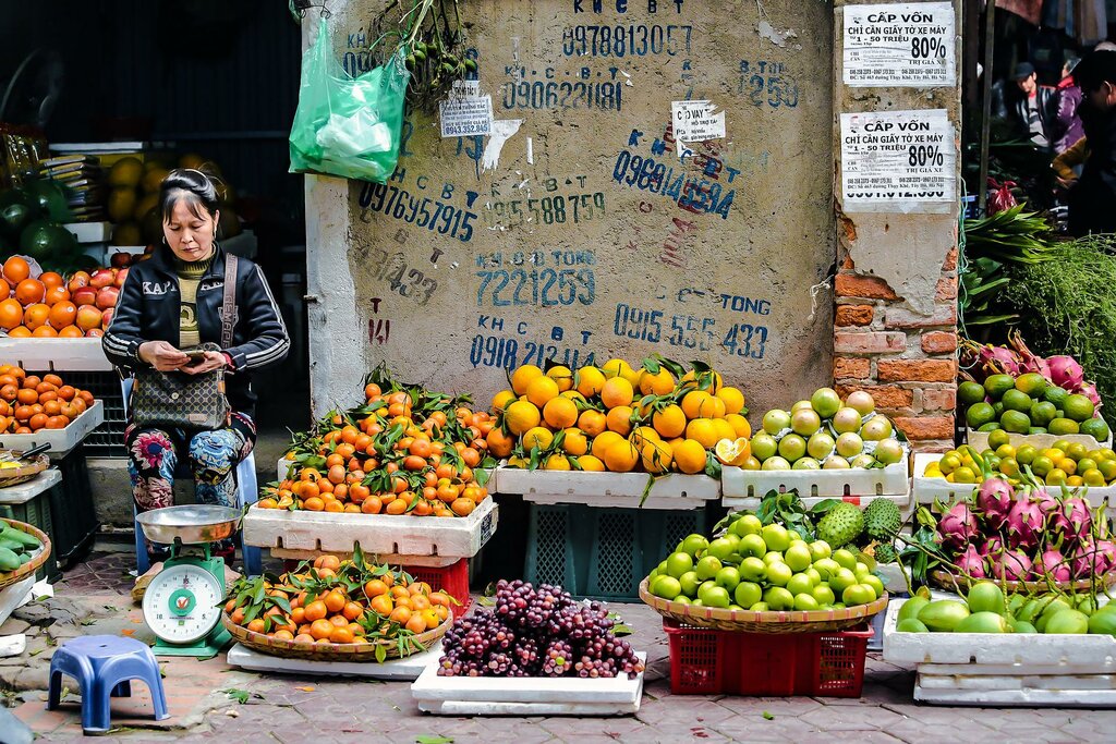 Free Day in Hanoi