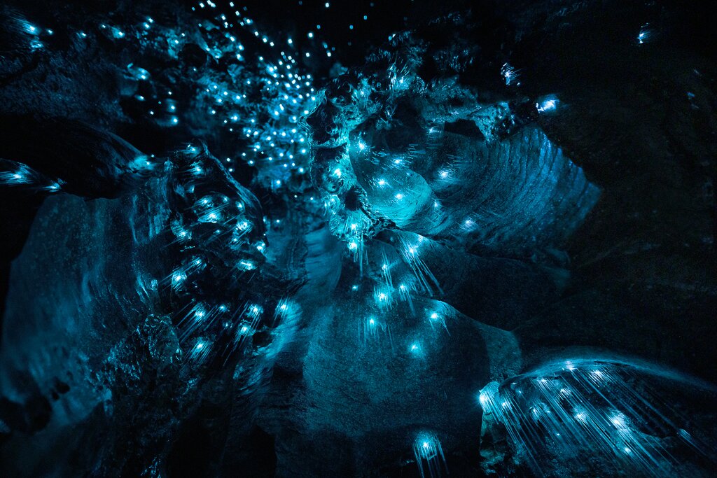 Te Anau Glowworm Caves