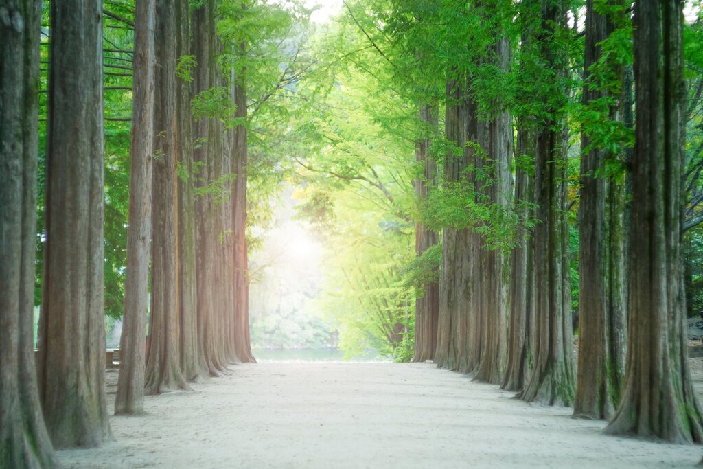 Nami Island
