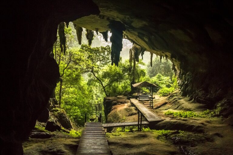 Explore East Malaysia's National Parks: Gunung Mulu & Niah - 7 Days
