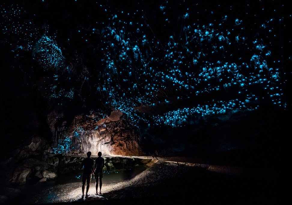 Two people walk along a cave in Waitomo holding flashlights, while glowworms cover the cave ceiling