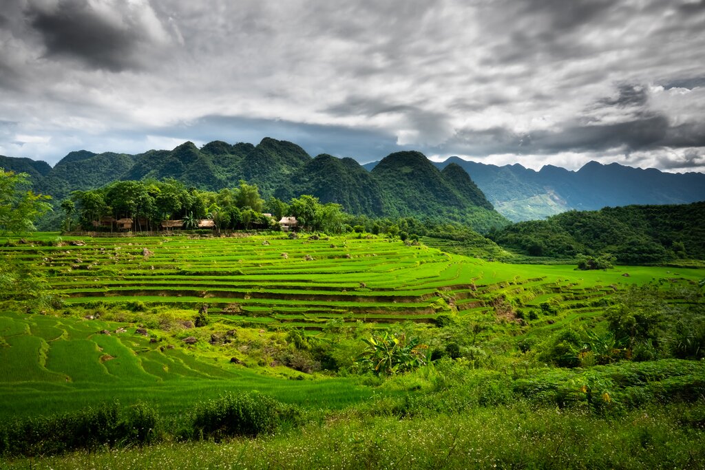 Mai Chau