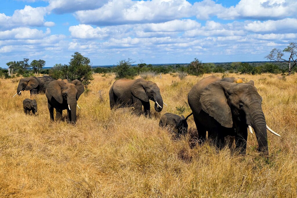 Gondwana Private Game Reserve