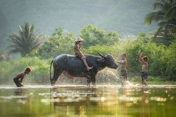 Mekong Delta