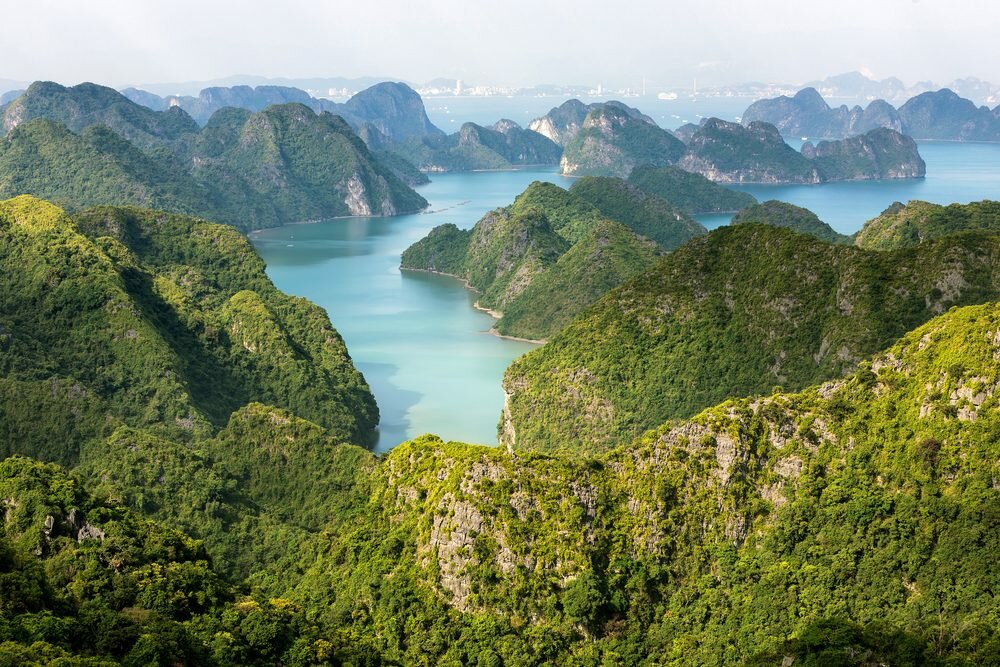 Cat Ba National Park Trekking