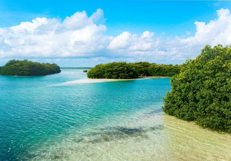 The Ancient Canal Experience in Sian Ka'an Biosphere Reserve