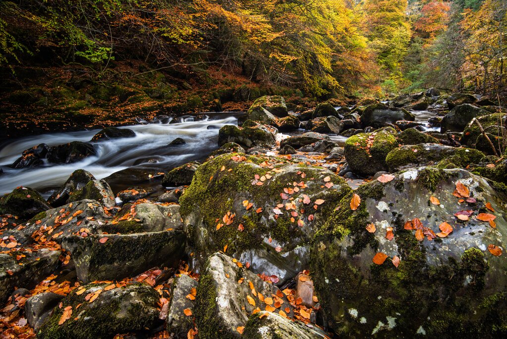The Hermitage on the River Braan