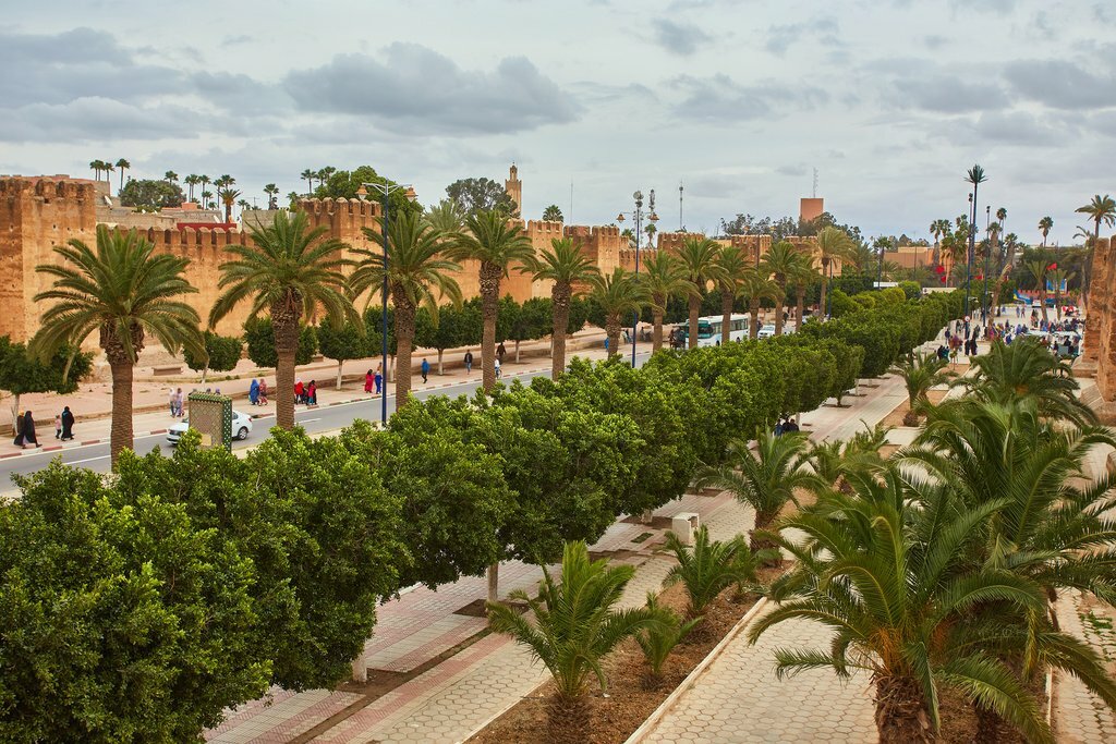 Morocco, Taroudant - Palm treeks line the fortified walls in Taroudant