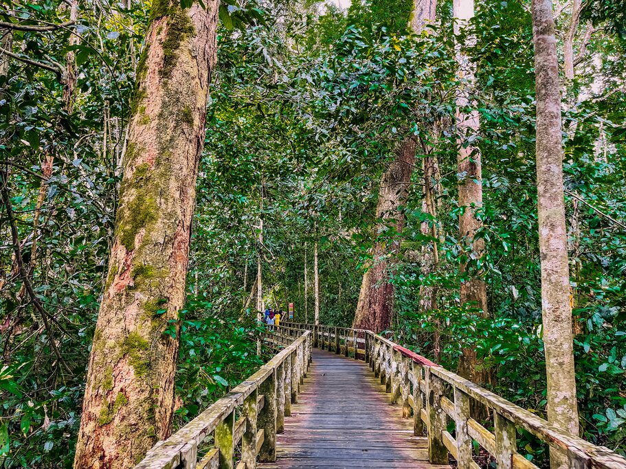 Sandakan: City Tour