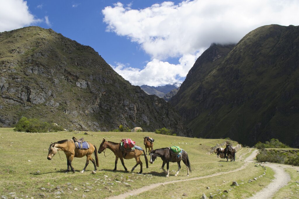Horseback Riding in the Pampas de Maras