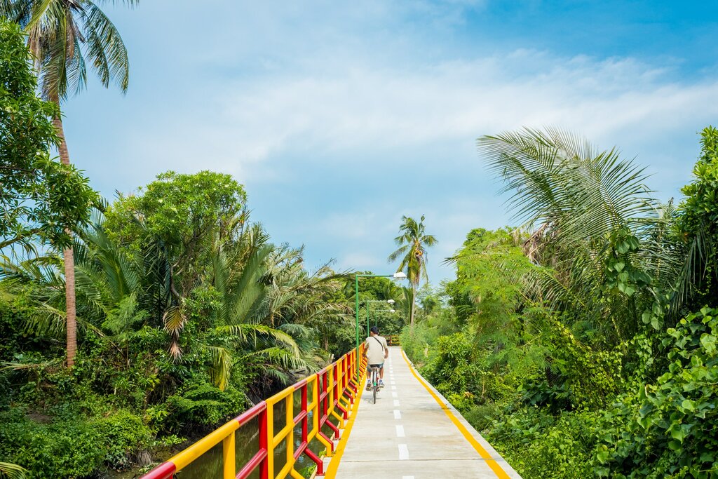 Enjoy a cycling tour of Bang Krachao