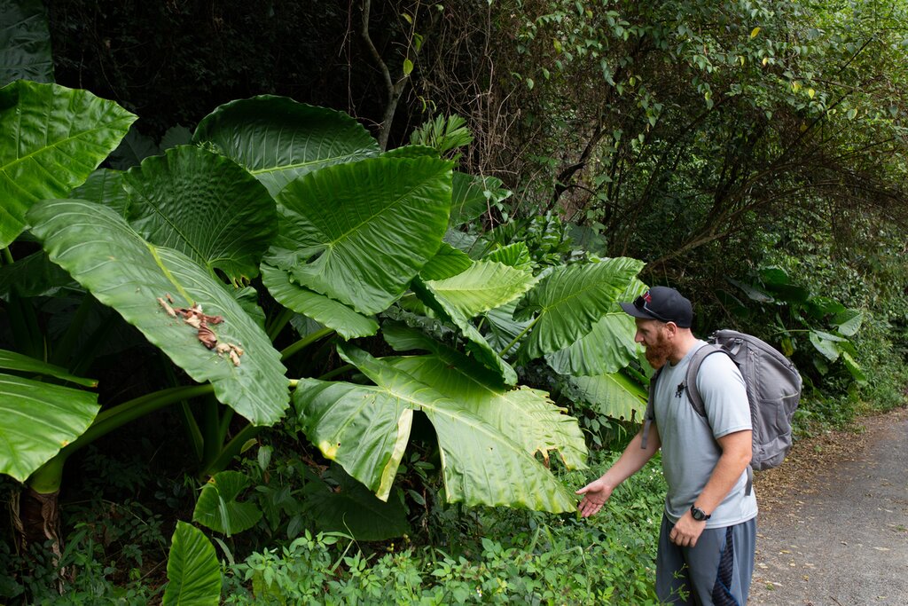 Trekking in Cat Ba National Park
