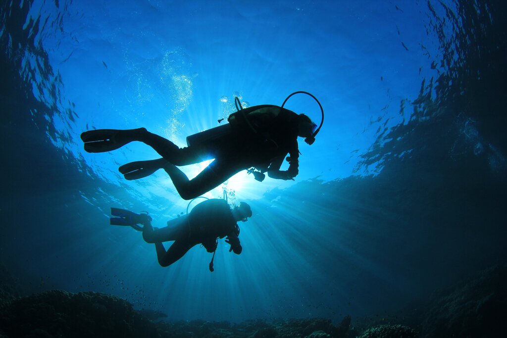 Diving in the Azores