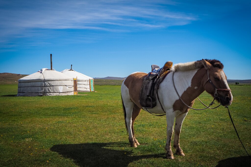 Ride horses through the untouched Altai mountains