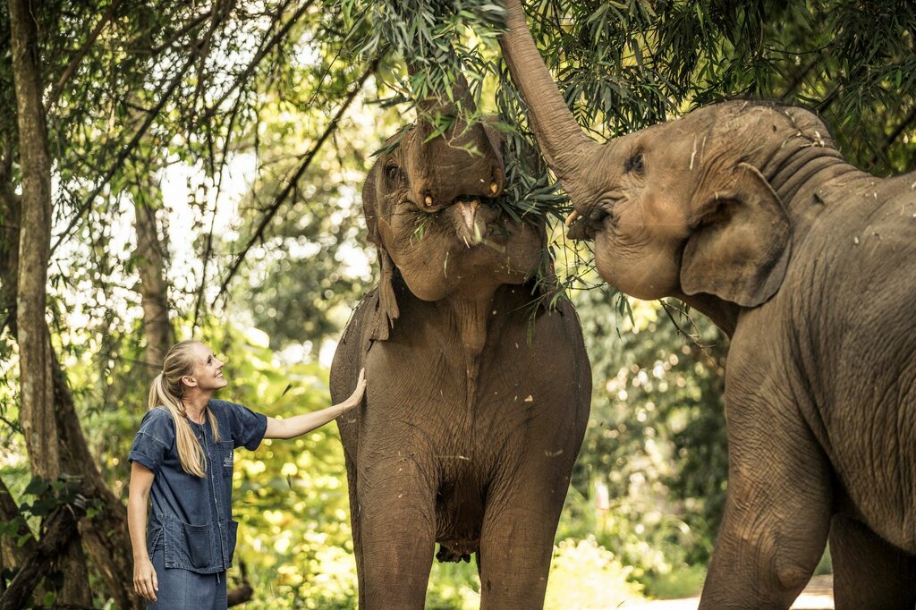 Full Day Elephant Owner At Patara Camp (Private Transfer & Join-in Activities)