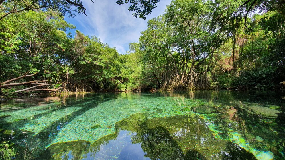 Get off the tourist trail in the Dominican Republic and check out Lago Enriquillo