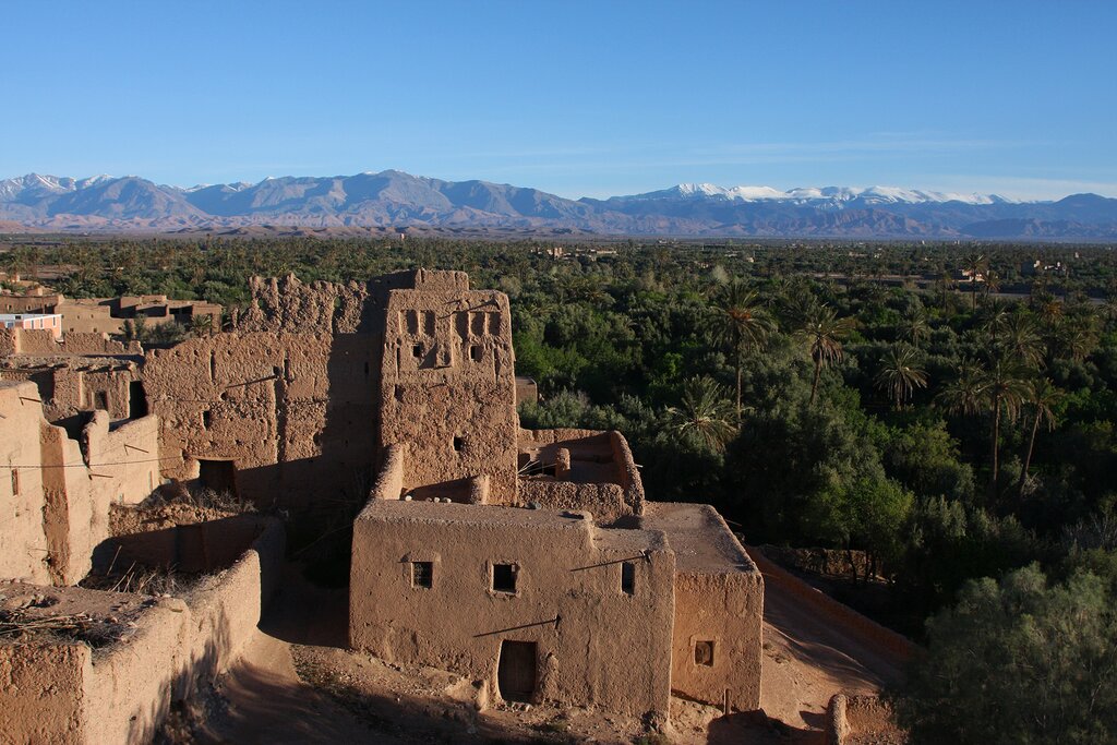 Morocco, Skoura - The Skoura palmerai and distant snow-capped Atlas mountains.jpg